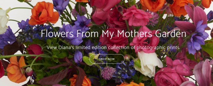 ScreenHunter_18 Dec. 14 19.45